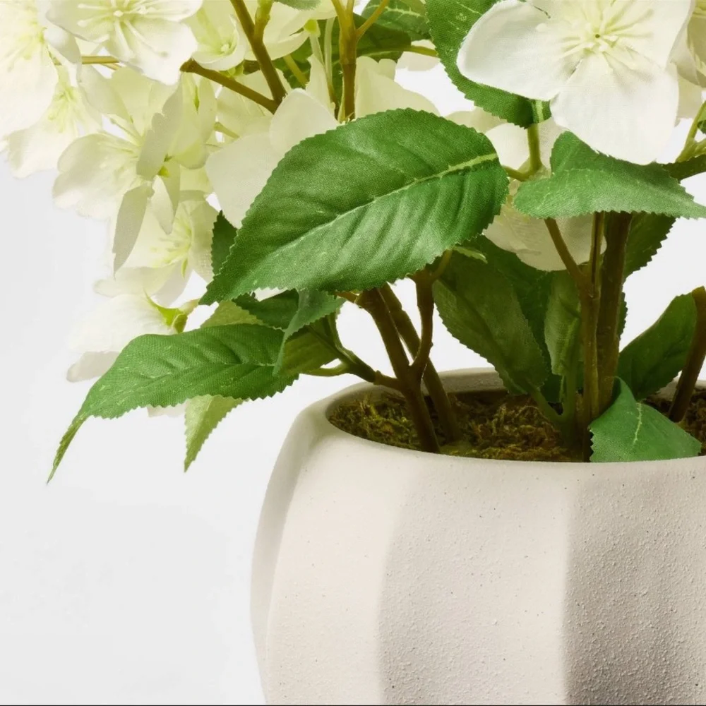 New Cream Hydrangea Arrangement w/ vase by Threshold™ designed with Studio McGee